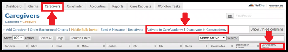 wellsky_caregivers.png